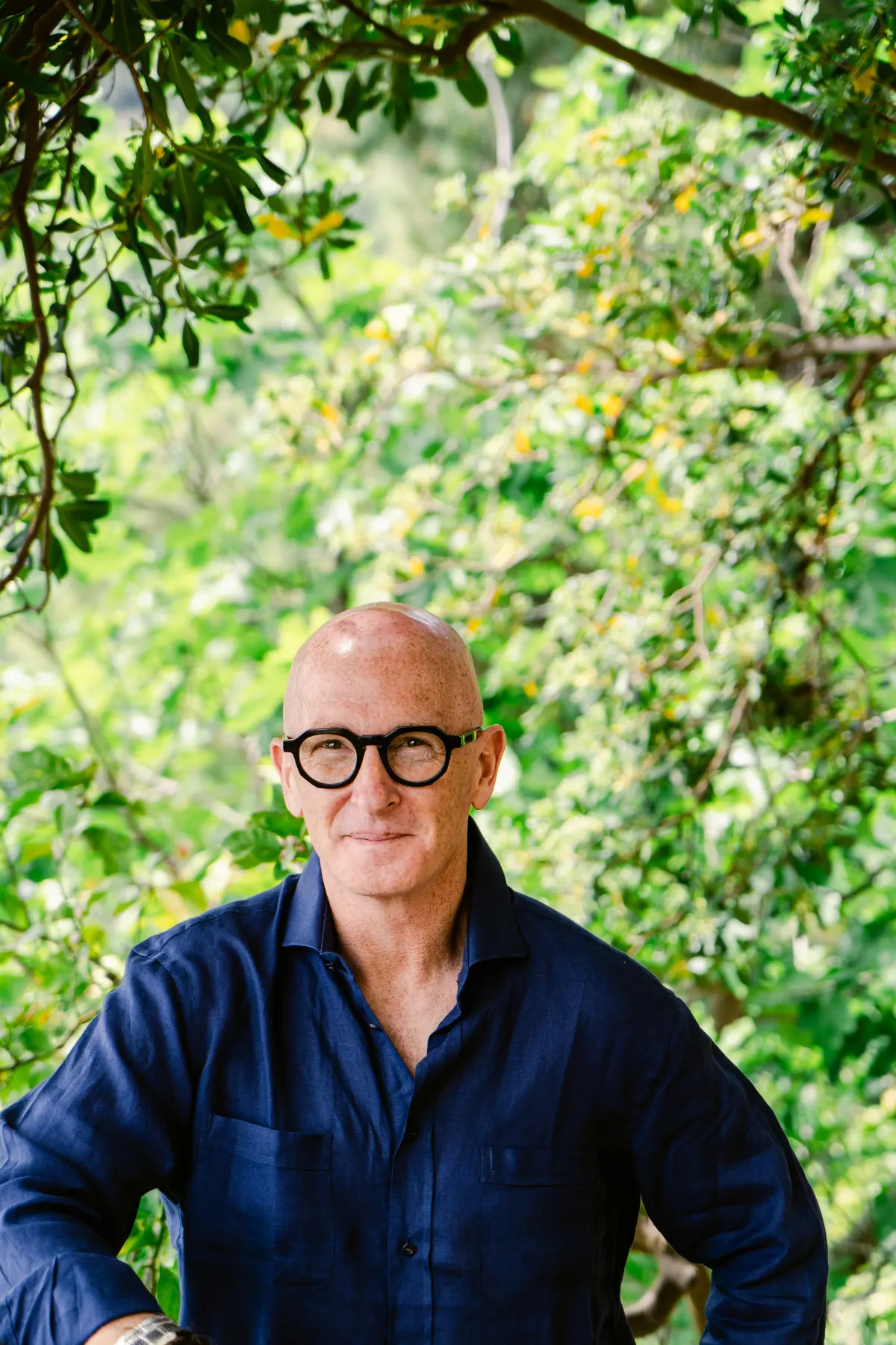 Errol Damelin — secondary portrait, navy linen, garden setting.